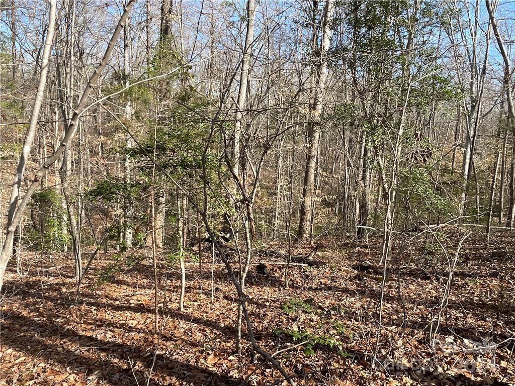 161 Little River Trail Property Photo 9