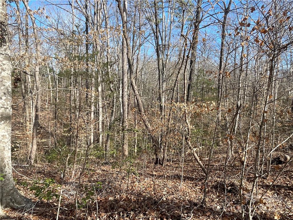 161 Little River Trail Property Photo 10