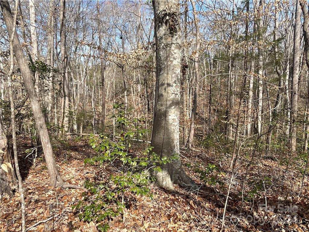 161 Little River Trail Property Photo 11