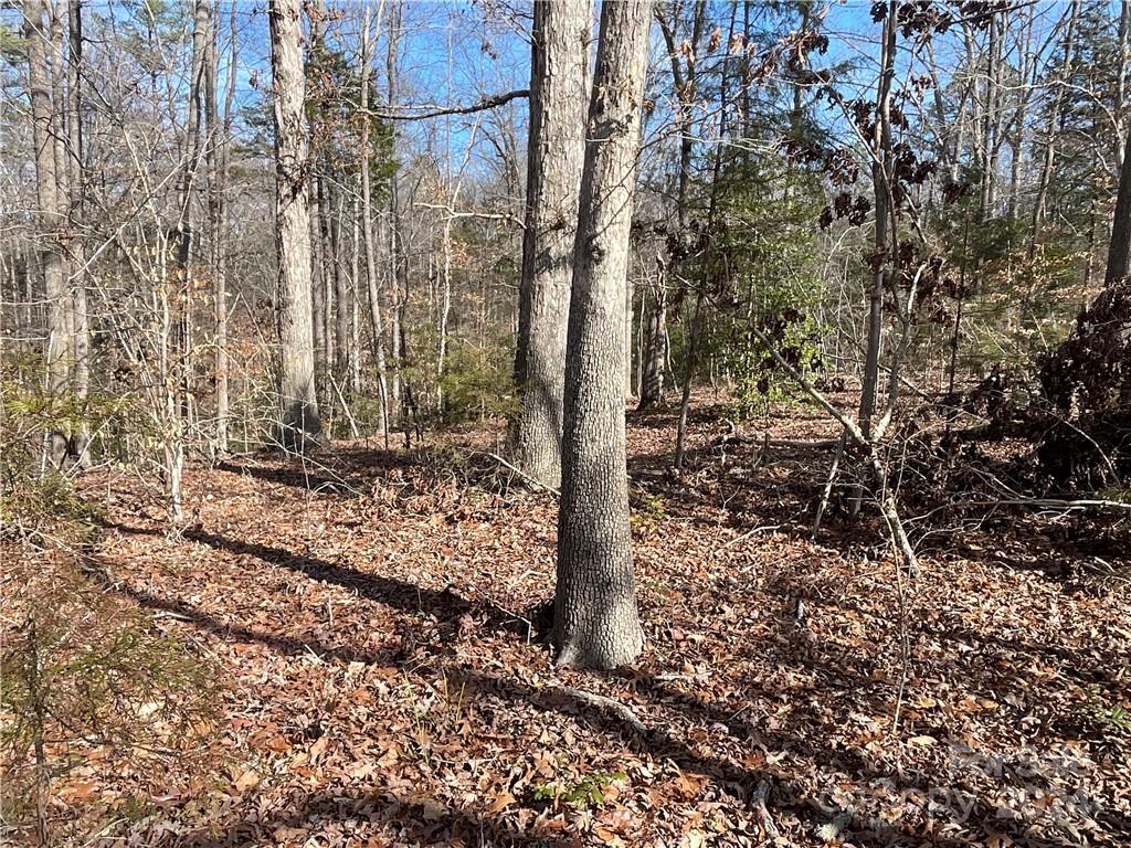 161 Little River Trail Property Photo 12