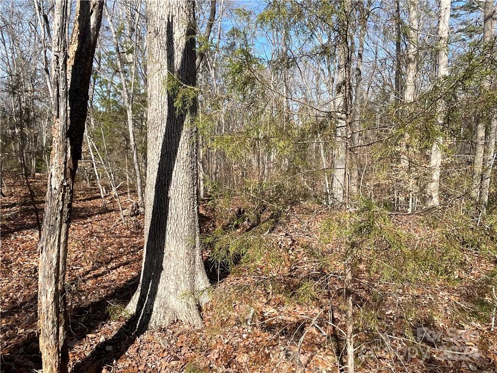 161 Little River Trail Property Photo 13