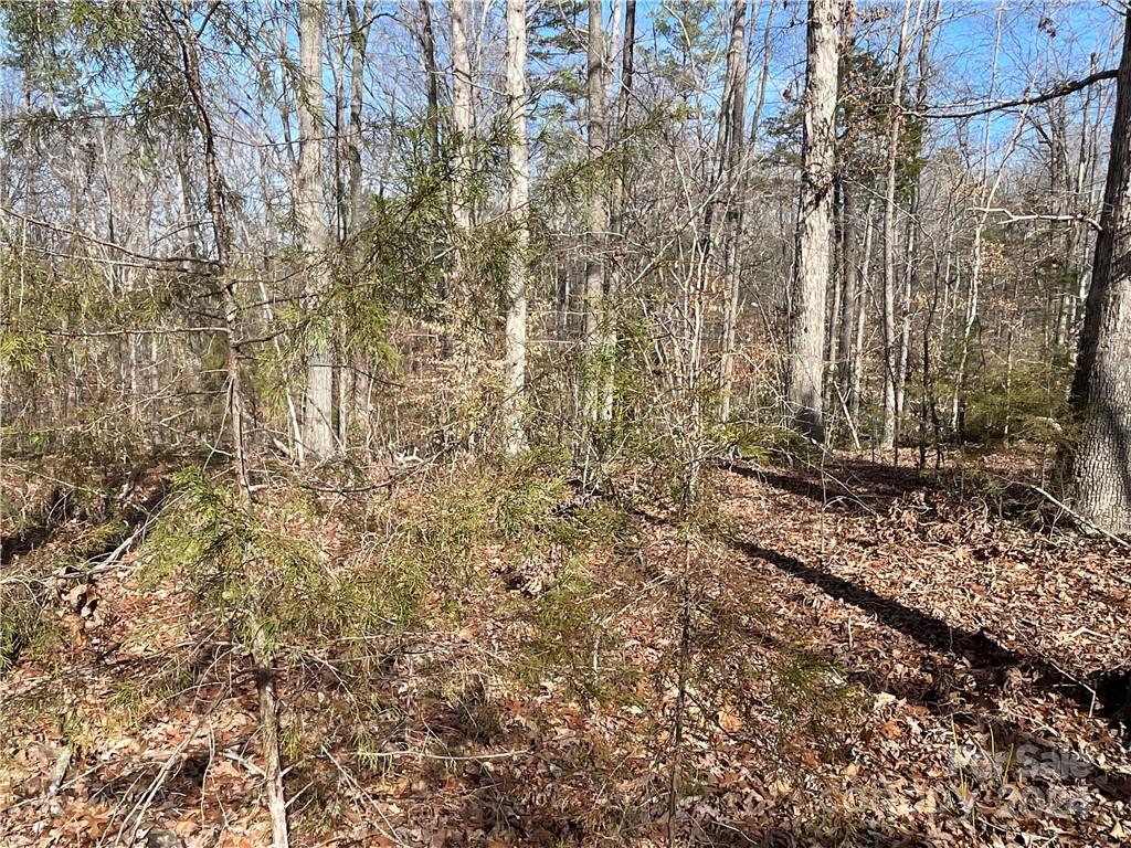 161 Little River Trail Property Photo 14