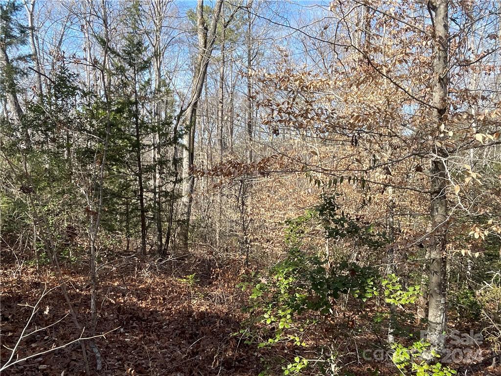 161 Little River Trail Property Photo 15