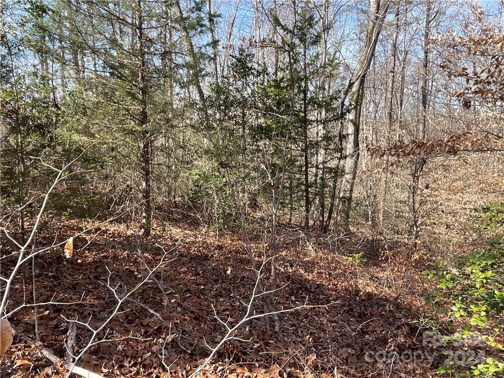 161 Little River Trail Property Photo 16
