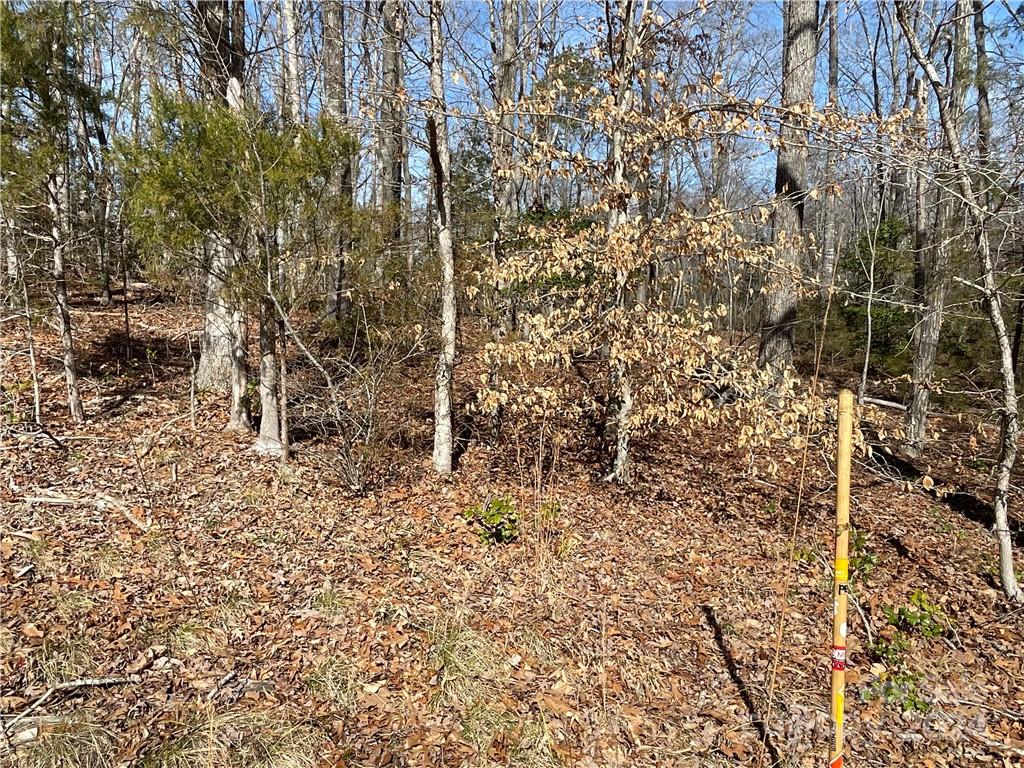 161 Little River Trail Property Photo 17