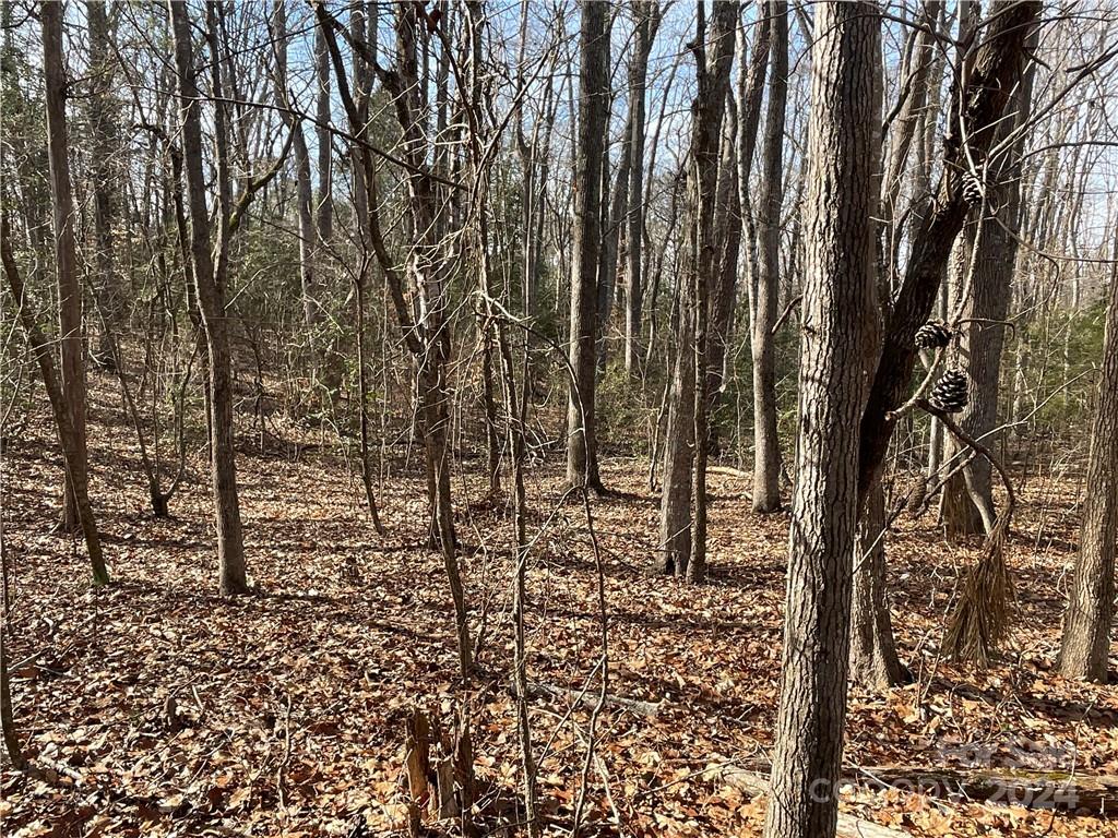 161 Little River Trail Property Photo 18