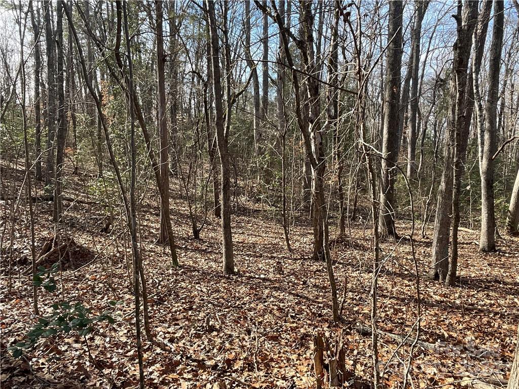 161 Little River Trail Property Photo 19