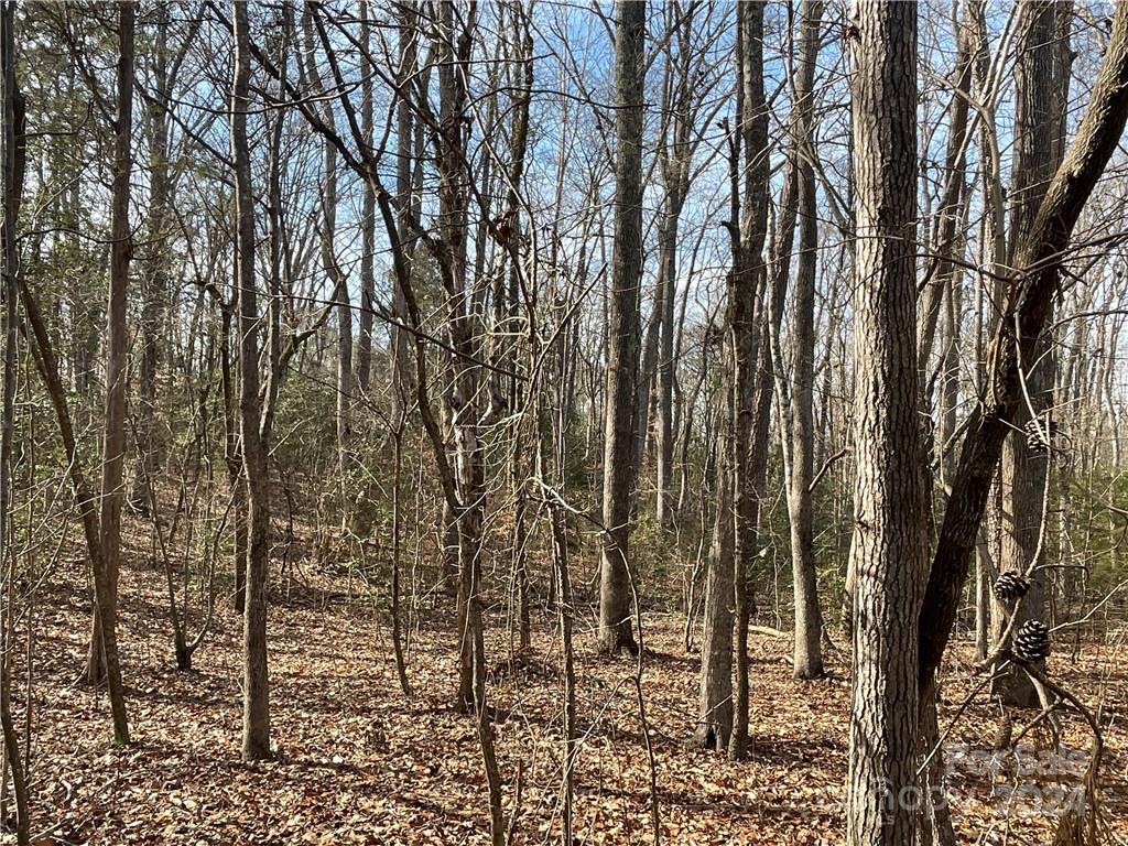 161 Little River Trail Property Photo 20