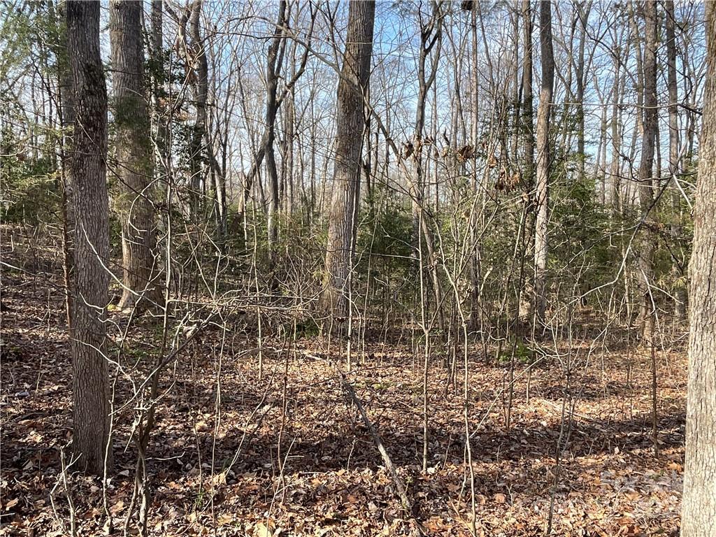 161 Little River Trail Property Photo 21