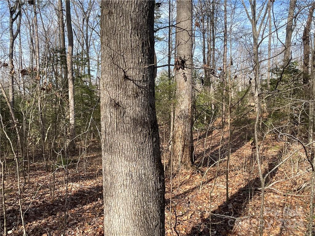 161 Little River Trail Property Photo 22