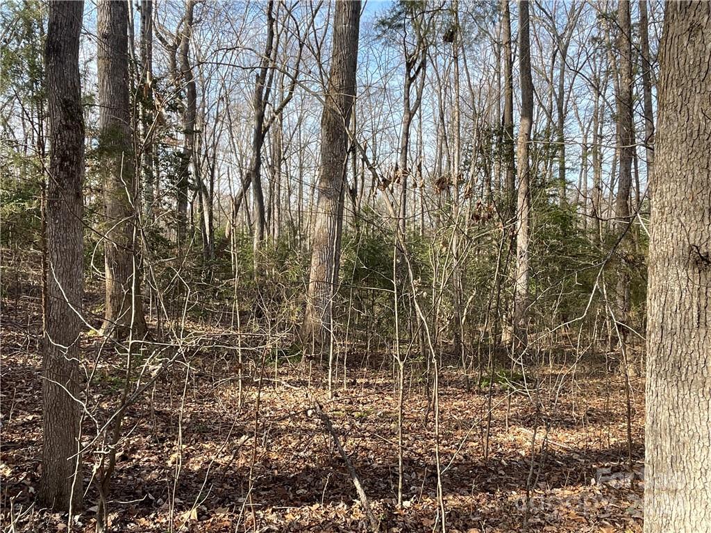 161 Little River Trail Property Photo 23