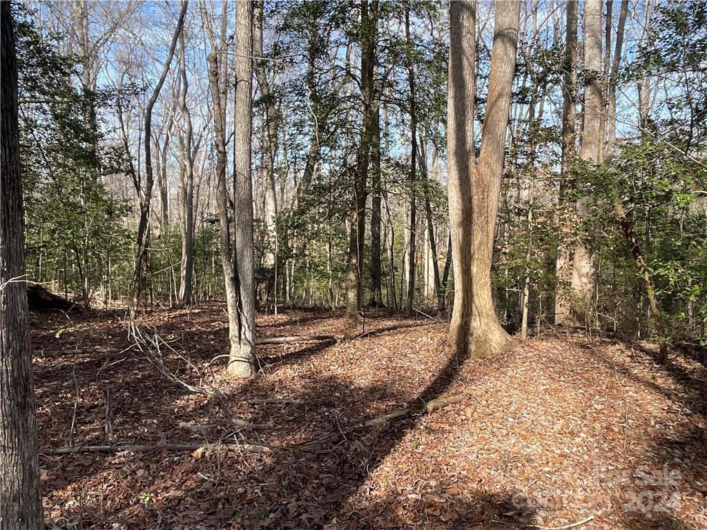 161 Little River Trail Property Photo 24