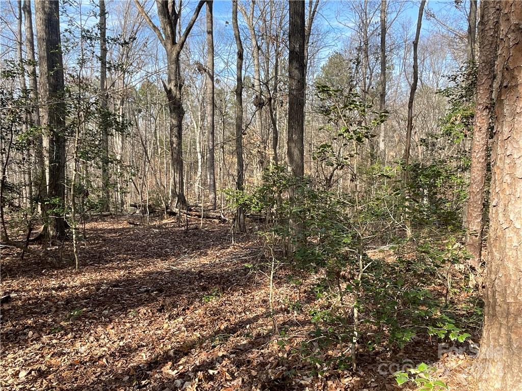 161 Little River Trail Property Photo 25