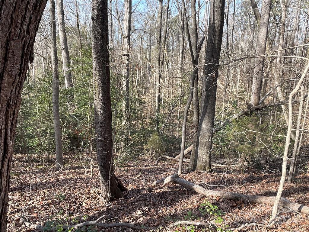 161 Little River Trail Property Photo 26