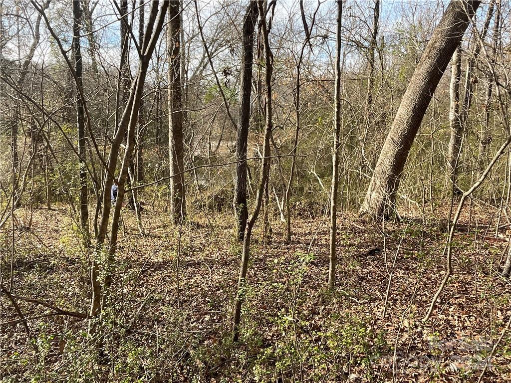 161 Little River Trail Property Photo 27