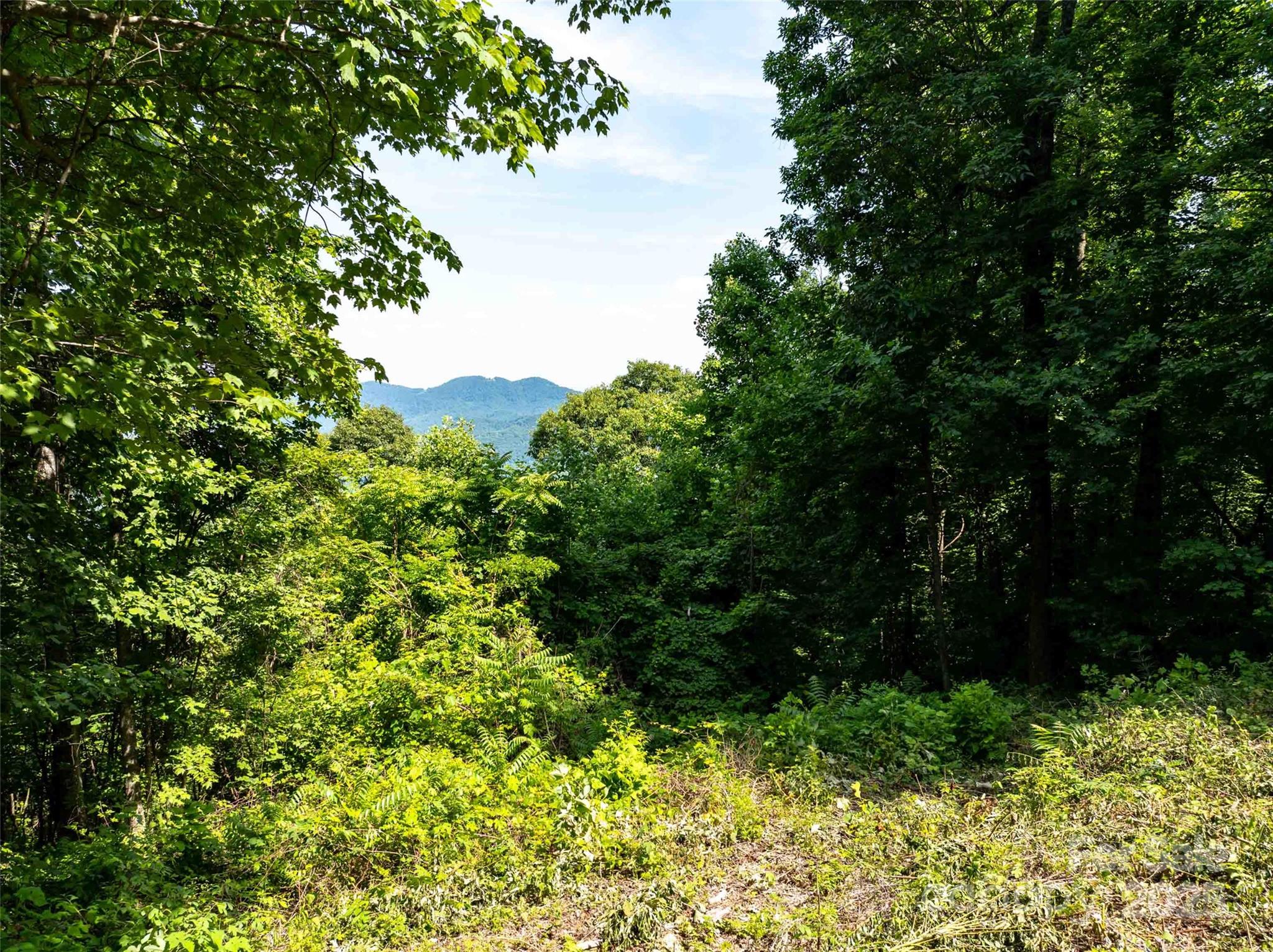 2957 Creston Drive Property Photo 3