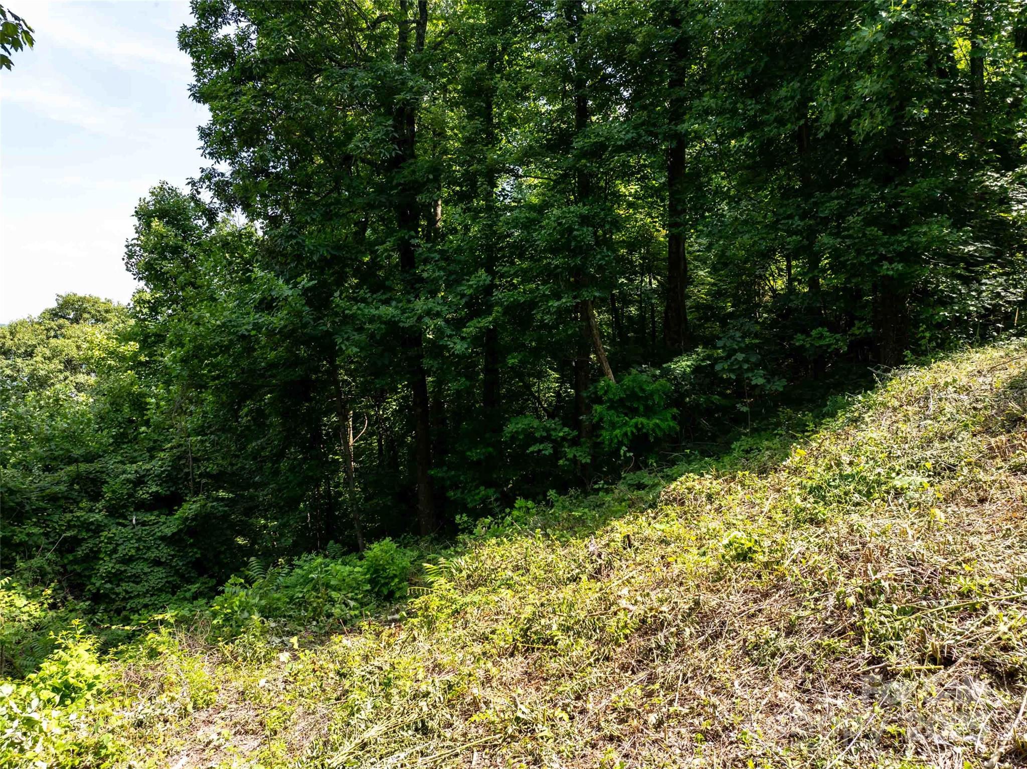 2957 Creston Drive Property Photo 19