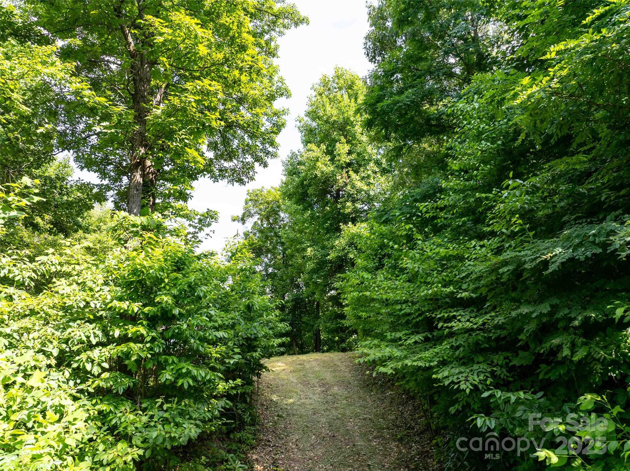 2957 Creston Drive Property Photo 23