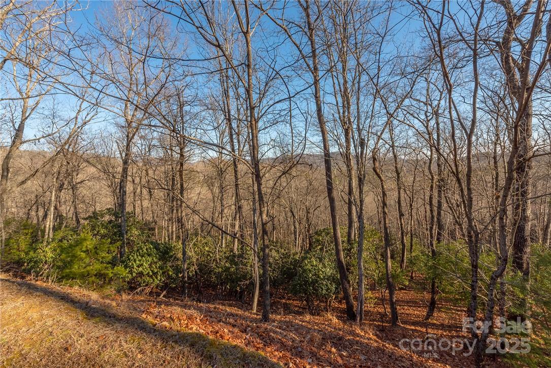 80 Buckhead Trail 27 Property Photo 6