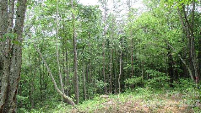 Lot 37 Deeplow Gap None Property Photo 1