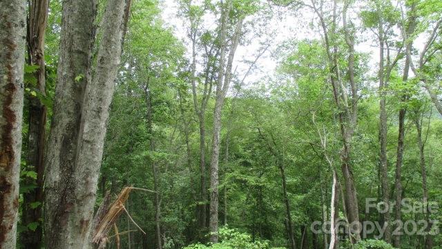 Lot 37 Deeplow Gap None Property Photo 2