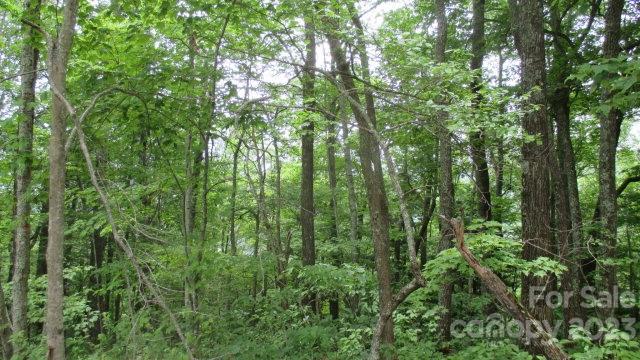 Lot 37 Deeplow Gap None Property Photo 3