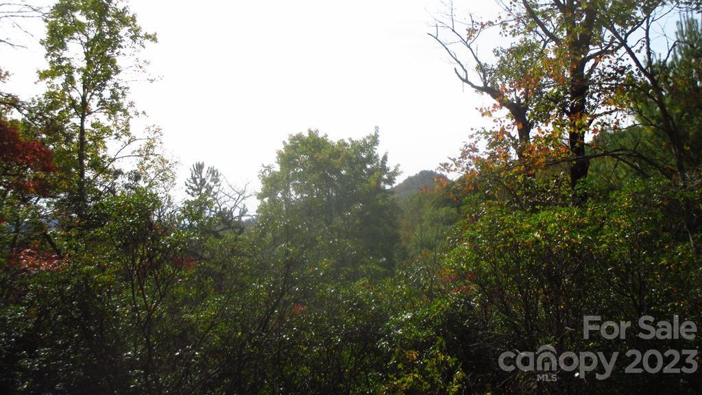 Lot 40 The Knoll None Property Photo 1
