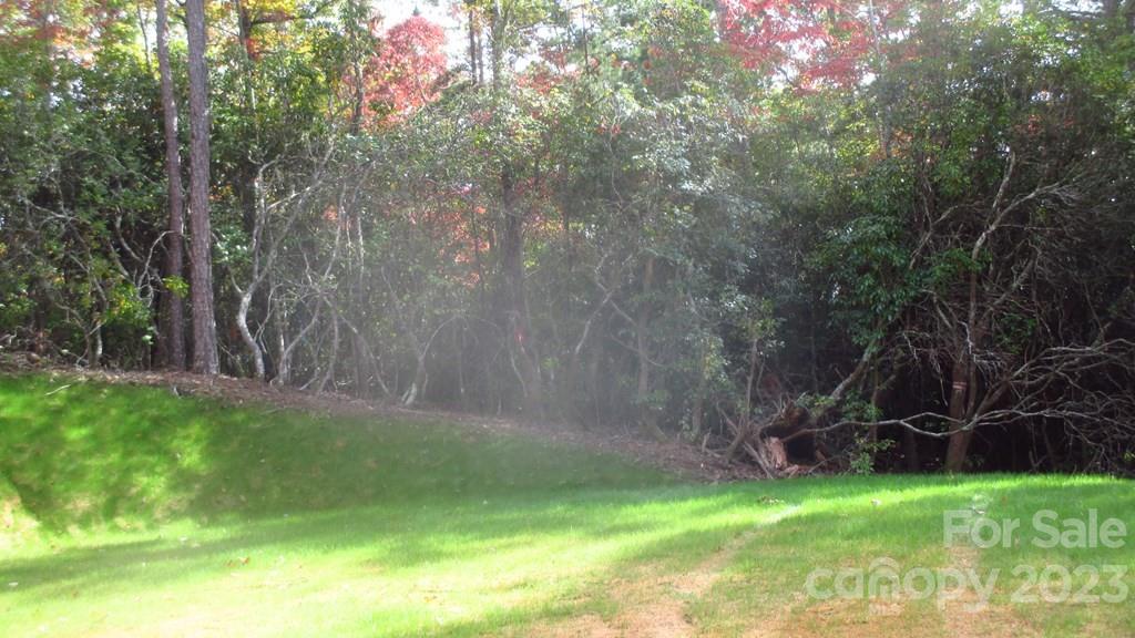 Lot 40 The Knoll None Property Photo 2