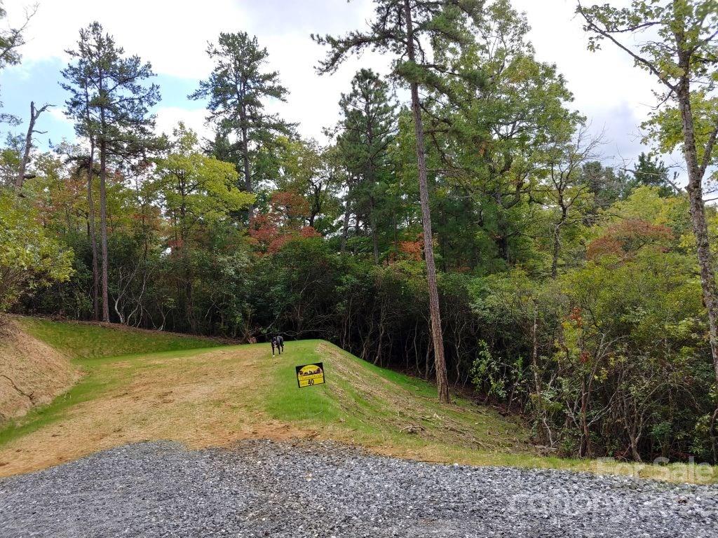 Lot 40 The Knoll None Property Photo 3