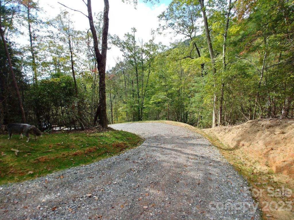 Lot 40 The Knoll None Property Photo 4