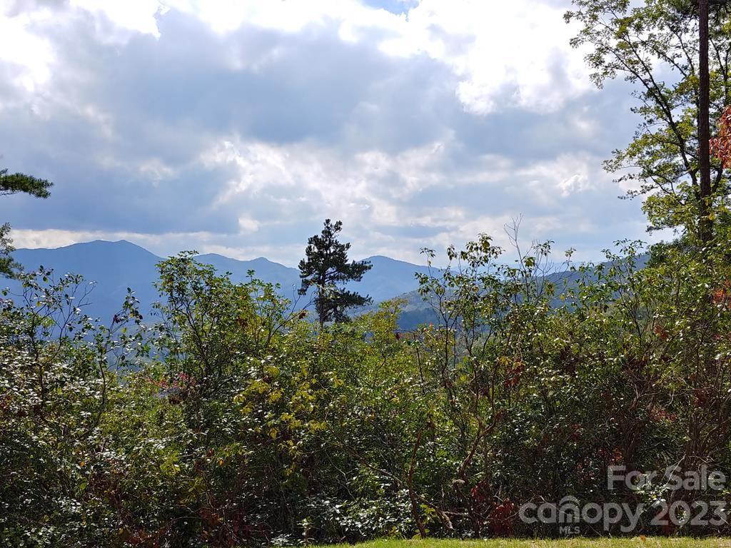 Lot 42 The Knoll None Property Photo 1