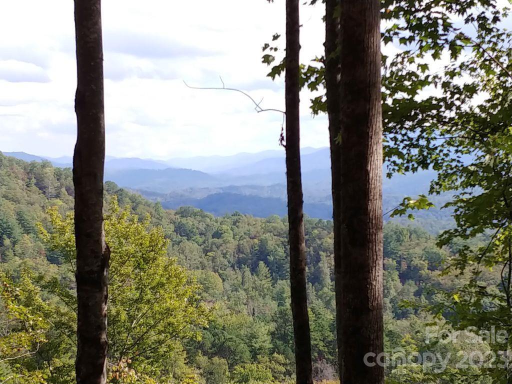 Lot 45 Thomas Divide Way Property Photo 1
