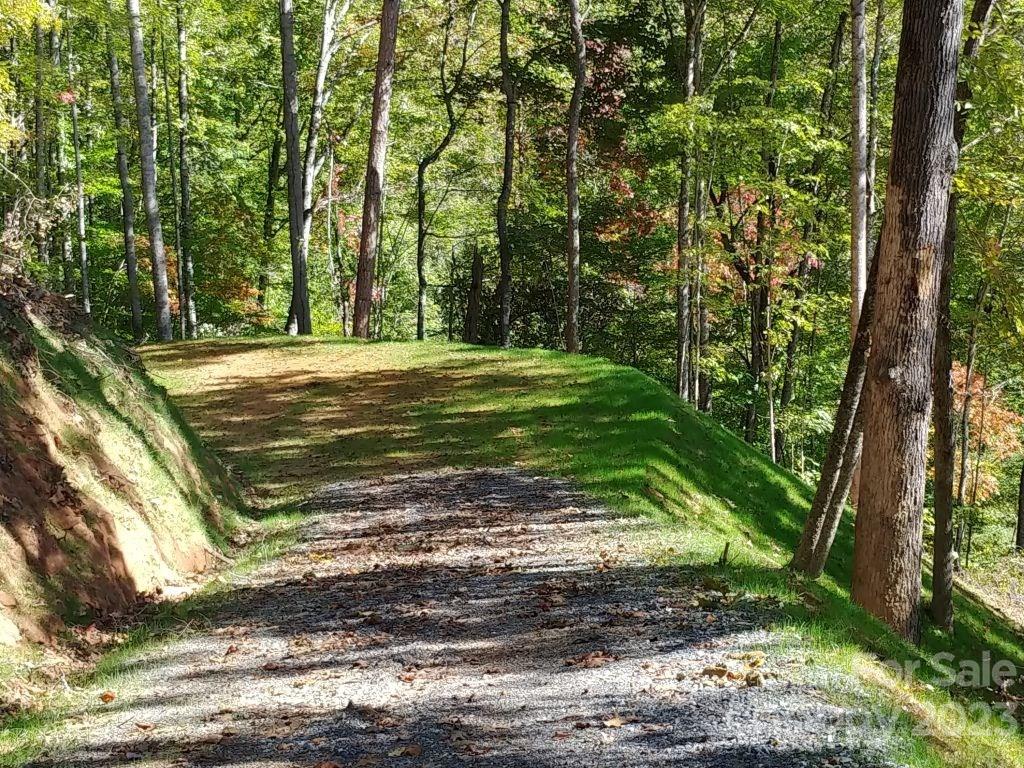 Lot 45 Thomas Divide Way Property Photo 2