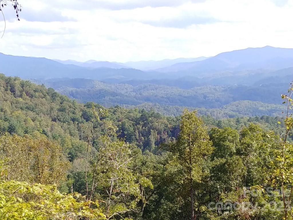 Lot 45 Thomas Divide Way Property Photo 3