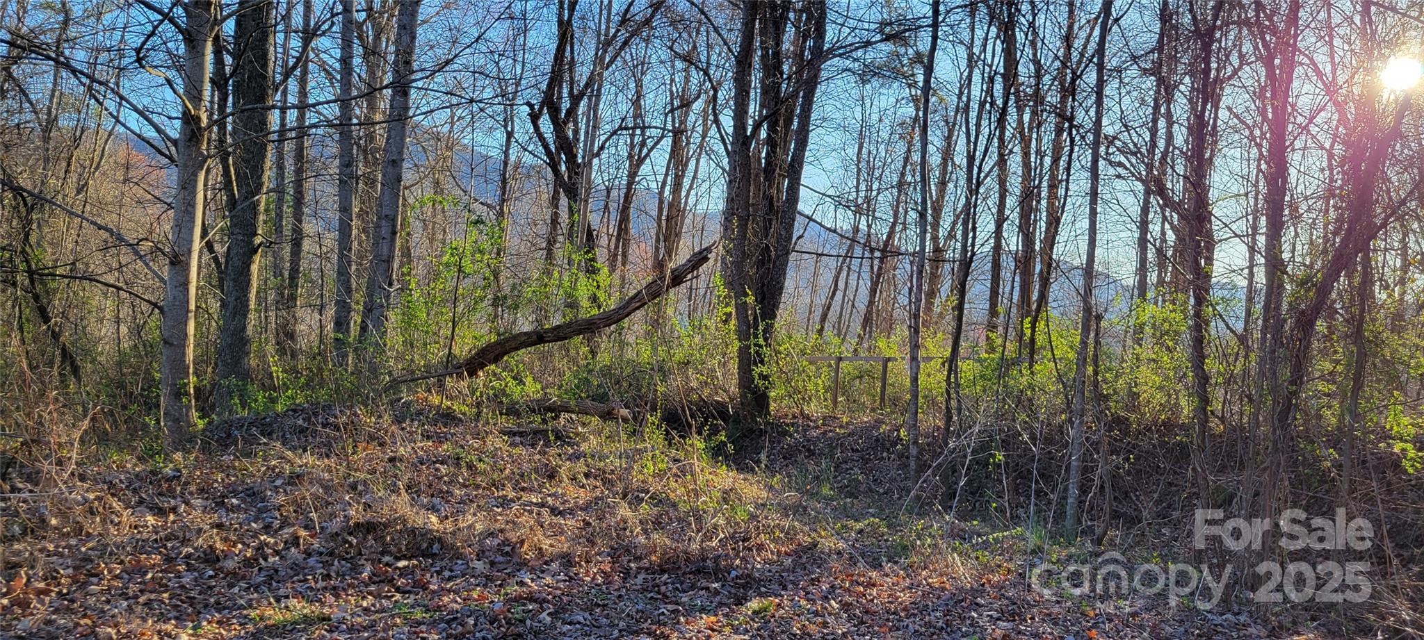 40 Rons Ridge 40 Property Photo 2