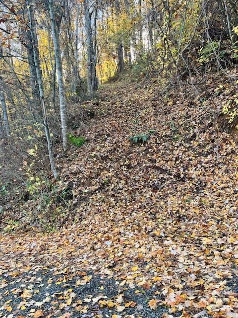 0 Whispering Winds Road Property Photo 3