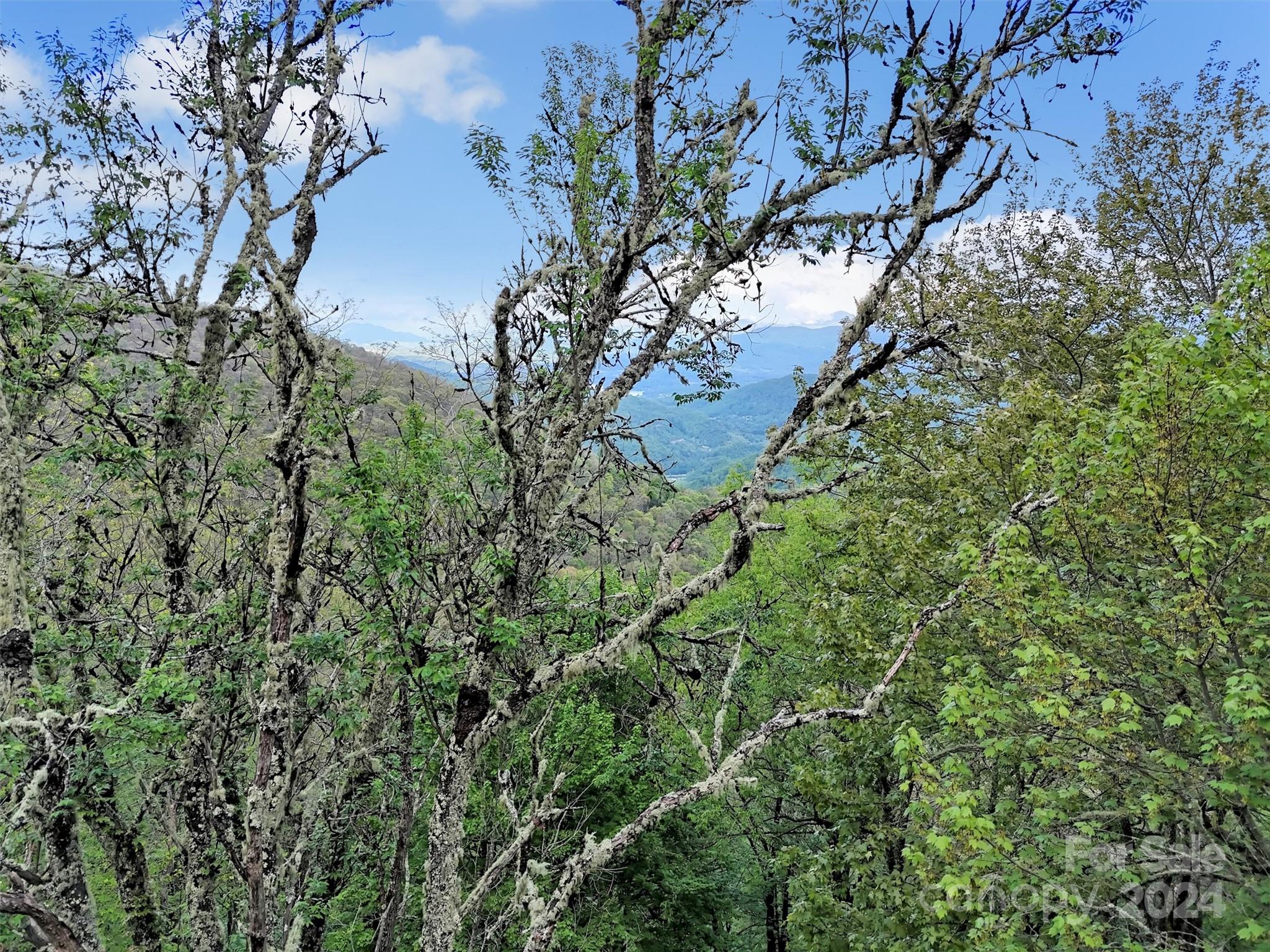 Lot 18 Quail Ridge Drive Property Photo 3