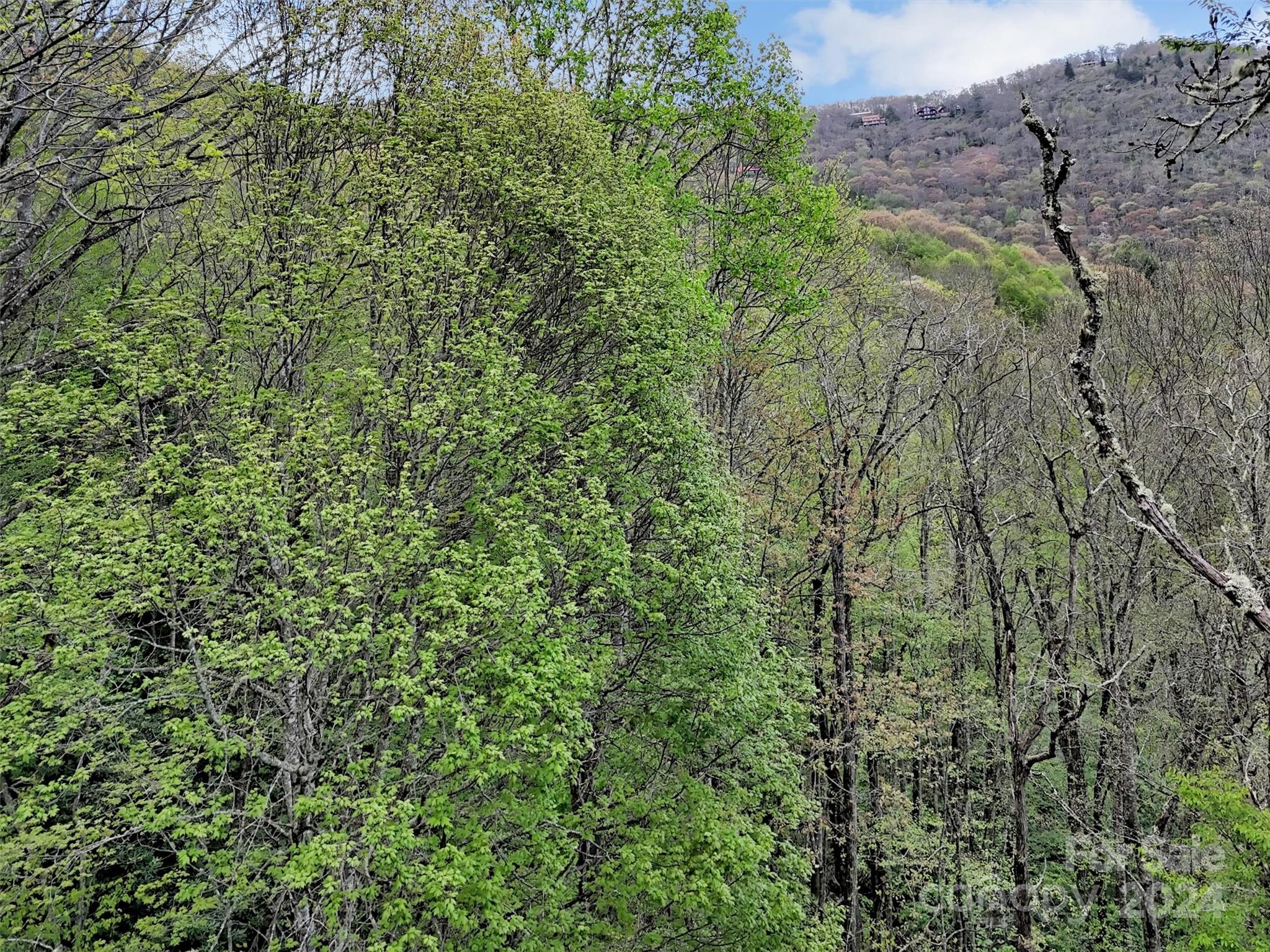 Lot 18 Quail Ridge Drive Property Photo 4