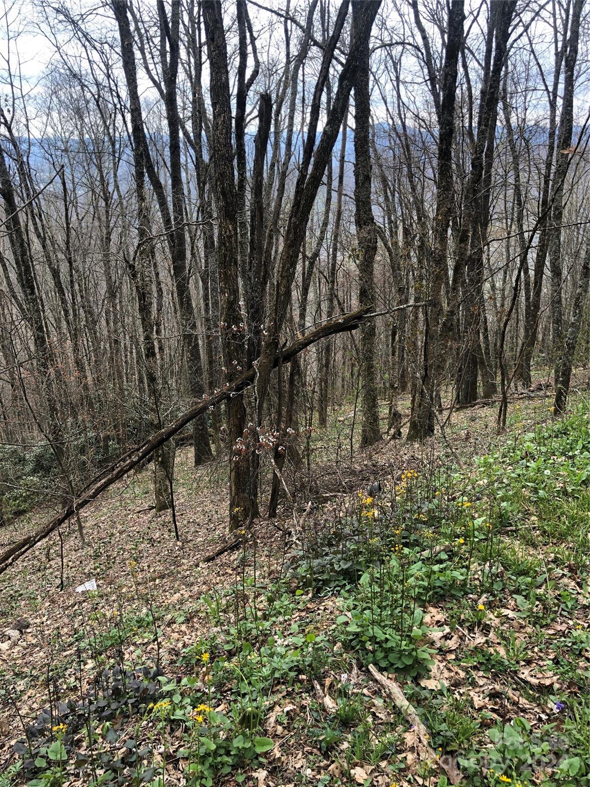 Lot 18 Quail Ridge Drive Property Photo 7