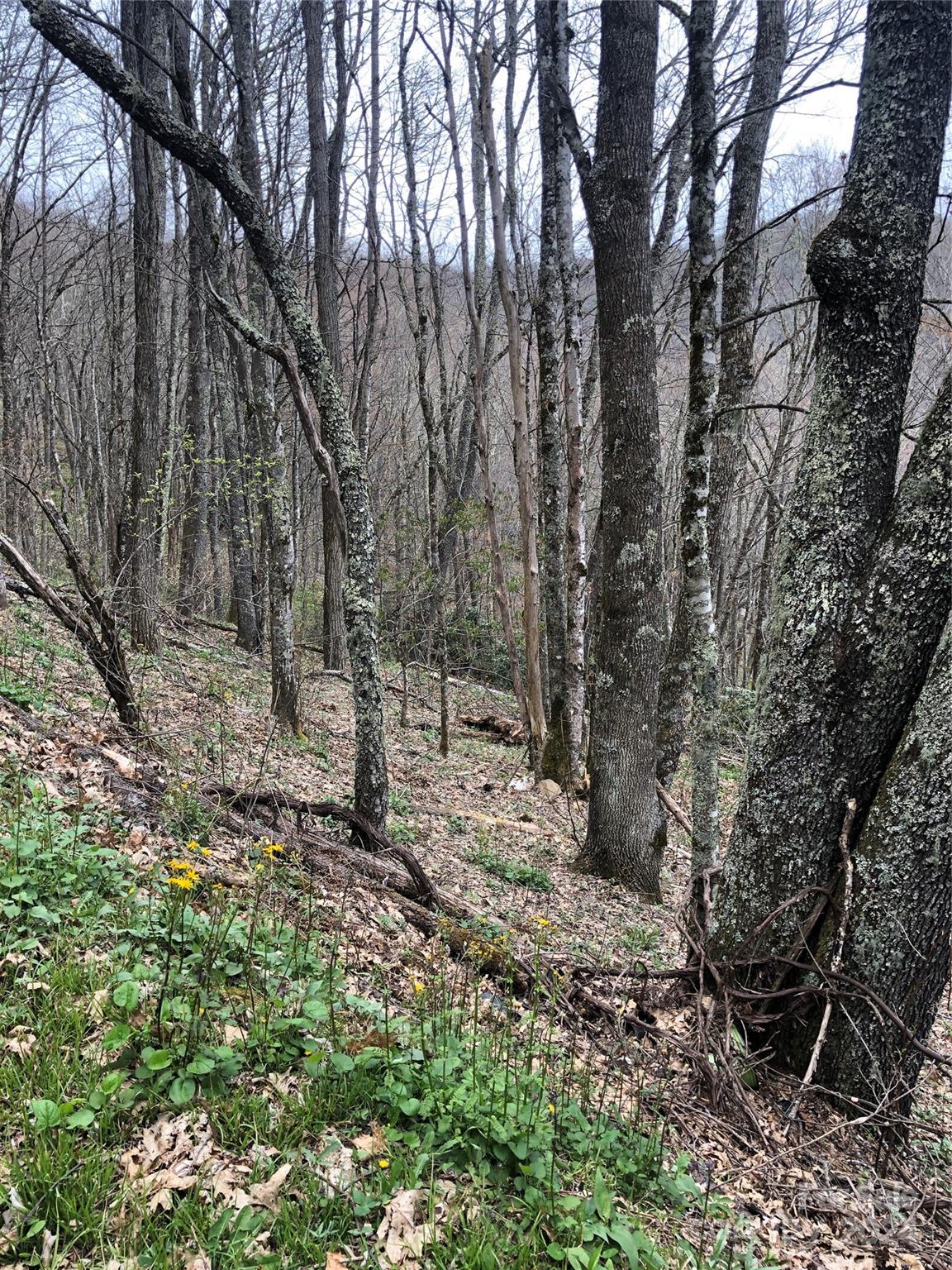 Lot 18 Quail Ridge Drive Property Photo 8