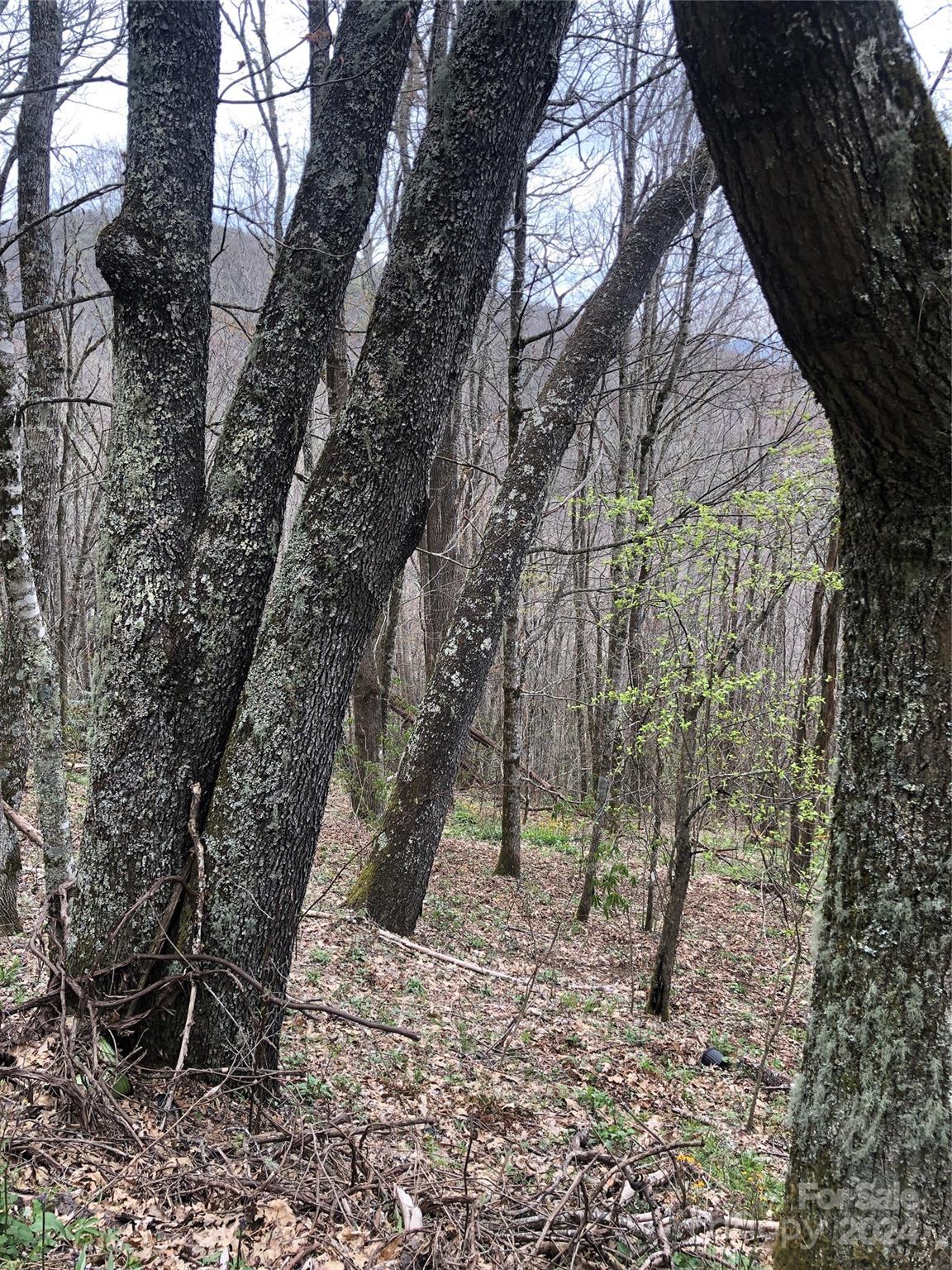 Lot 18 Quail Ridge Drive Property Photo 9