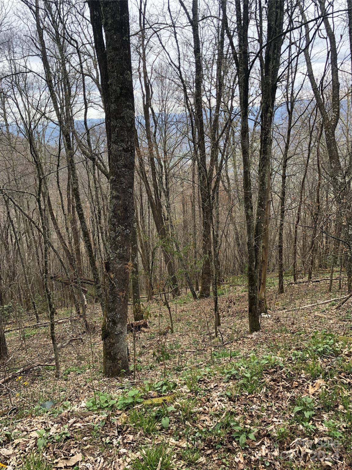 Lot 18 Quail Ridge Drive Property Photo 10