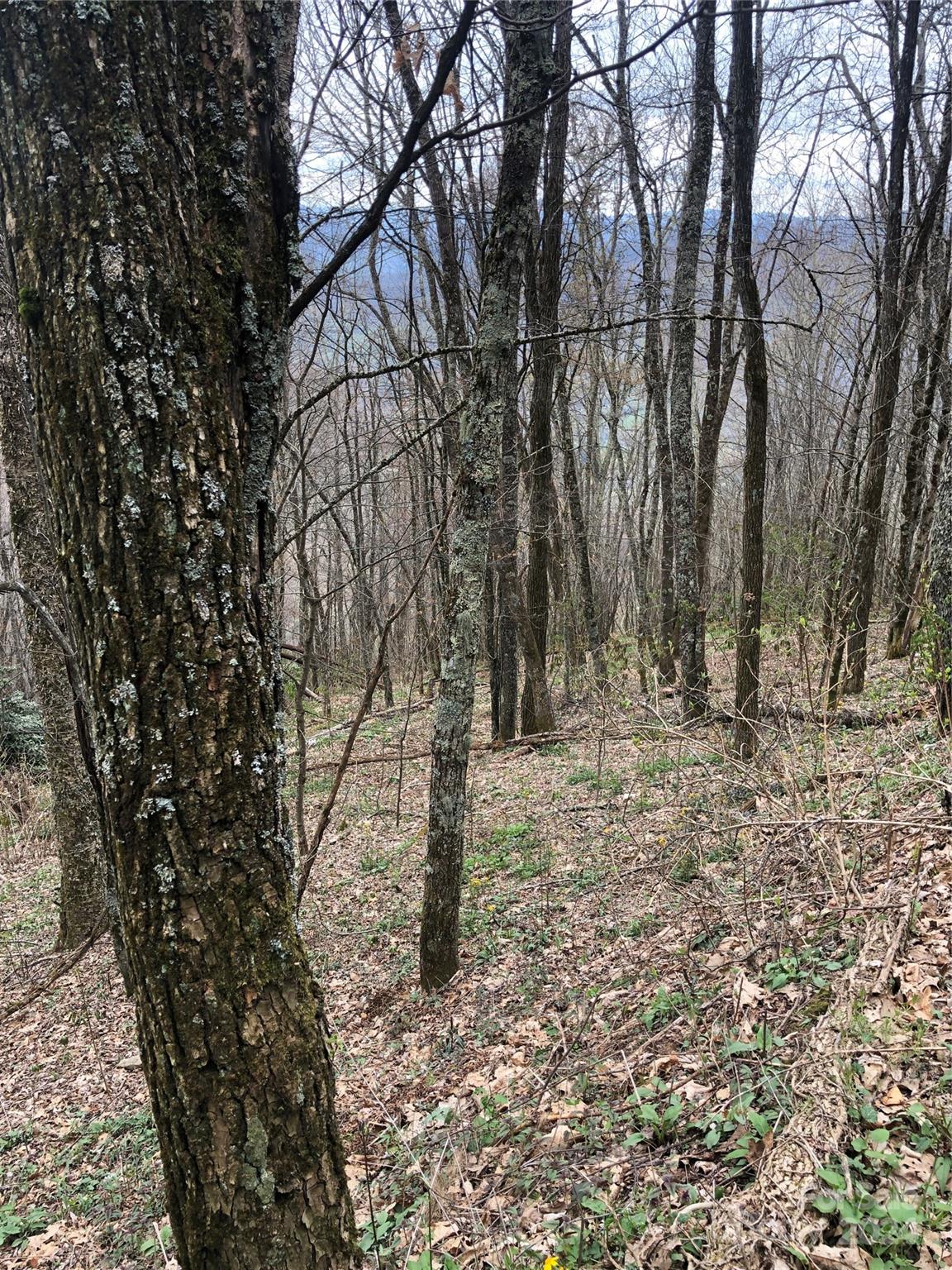 Lot 18 Quail Ridge Drive Property Photo 11