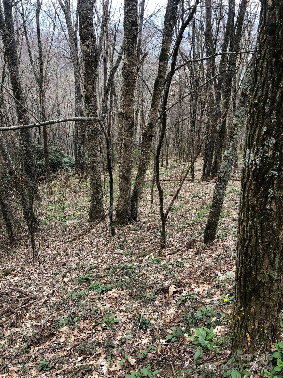 Lot 18 Quail Ridge Drive Property Photo 12
