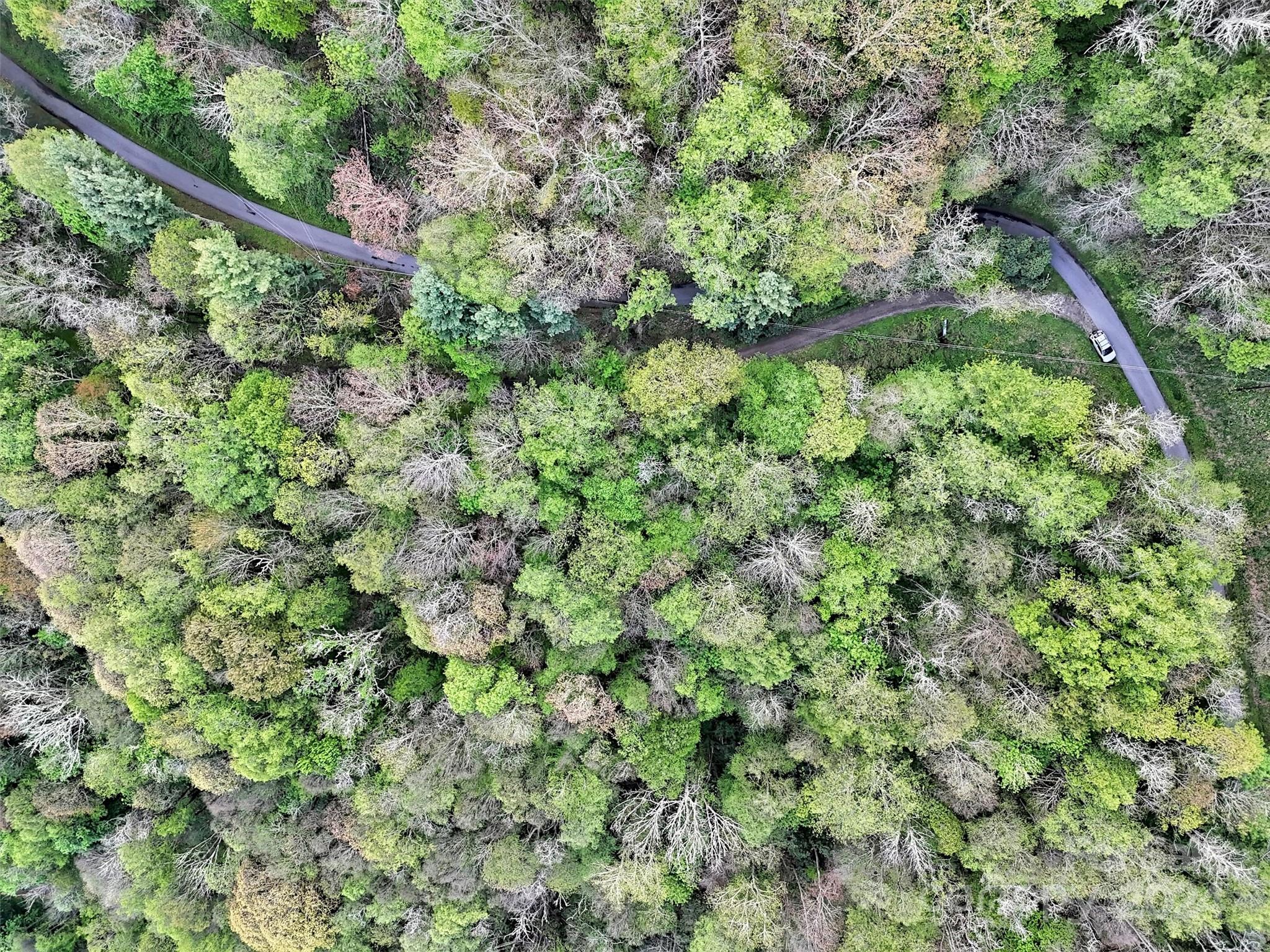 Lot 18 Quail Ridge Drive Property Photo 18