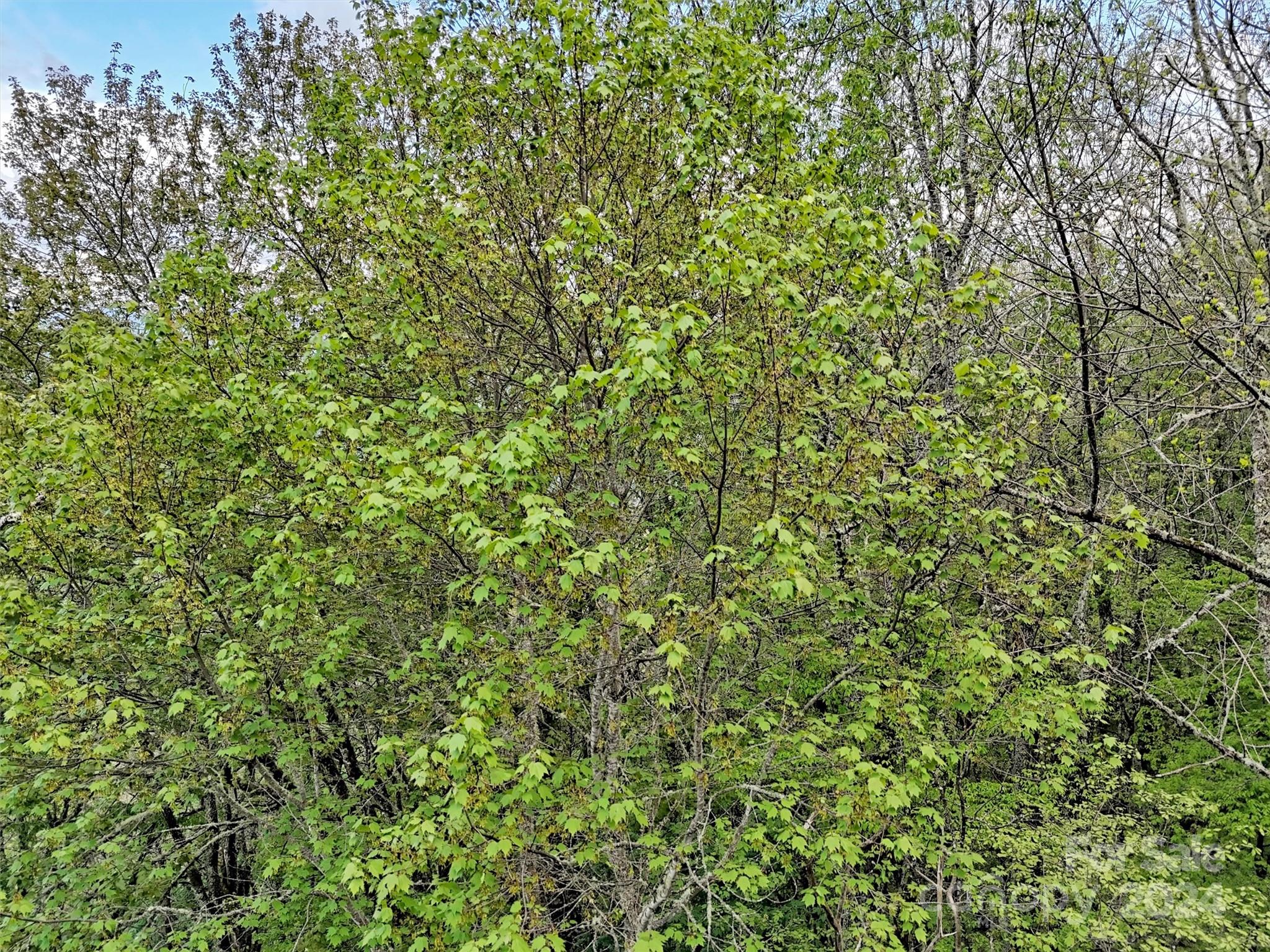 Lot 18 Quail Ridge Drive Property Photo 19