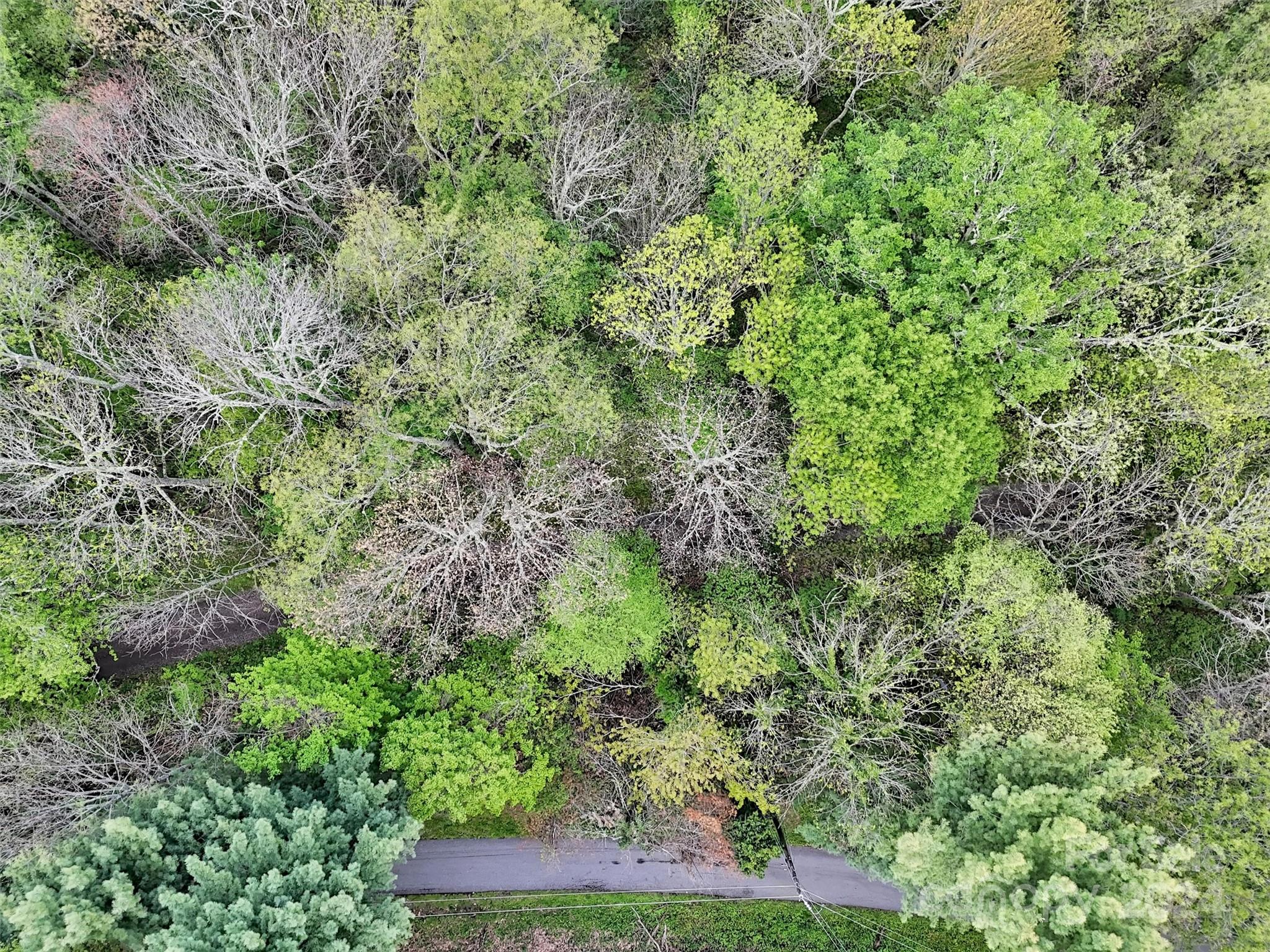 Lot 18 Quail Ridge Drive Property Photo 20