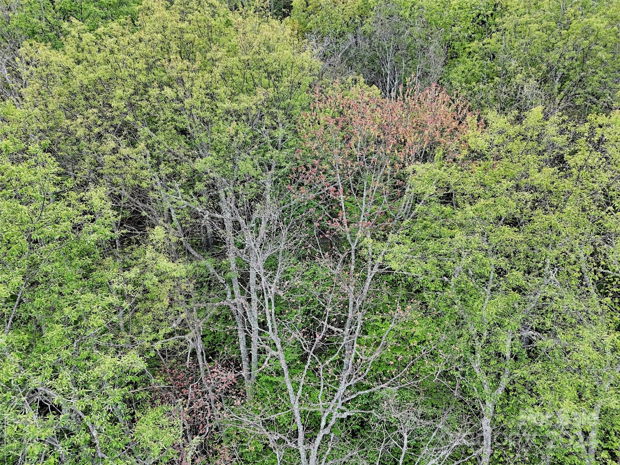 Lot 18 Quail Ridge Drive Property Photo 21