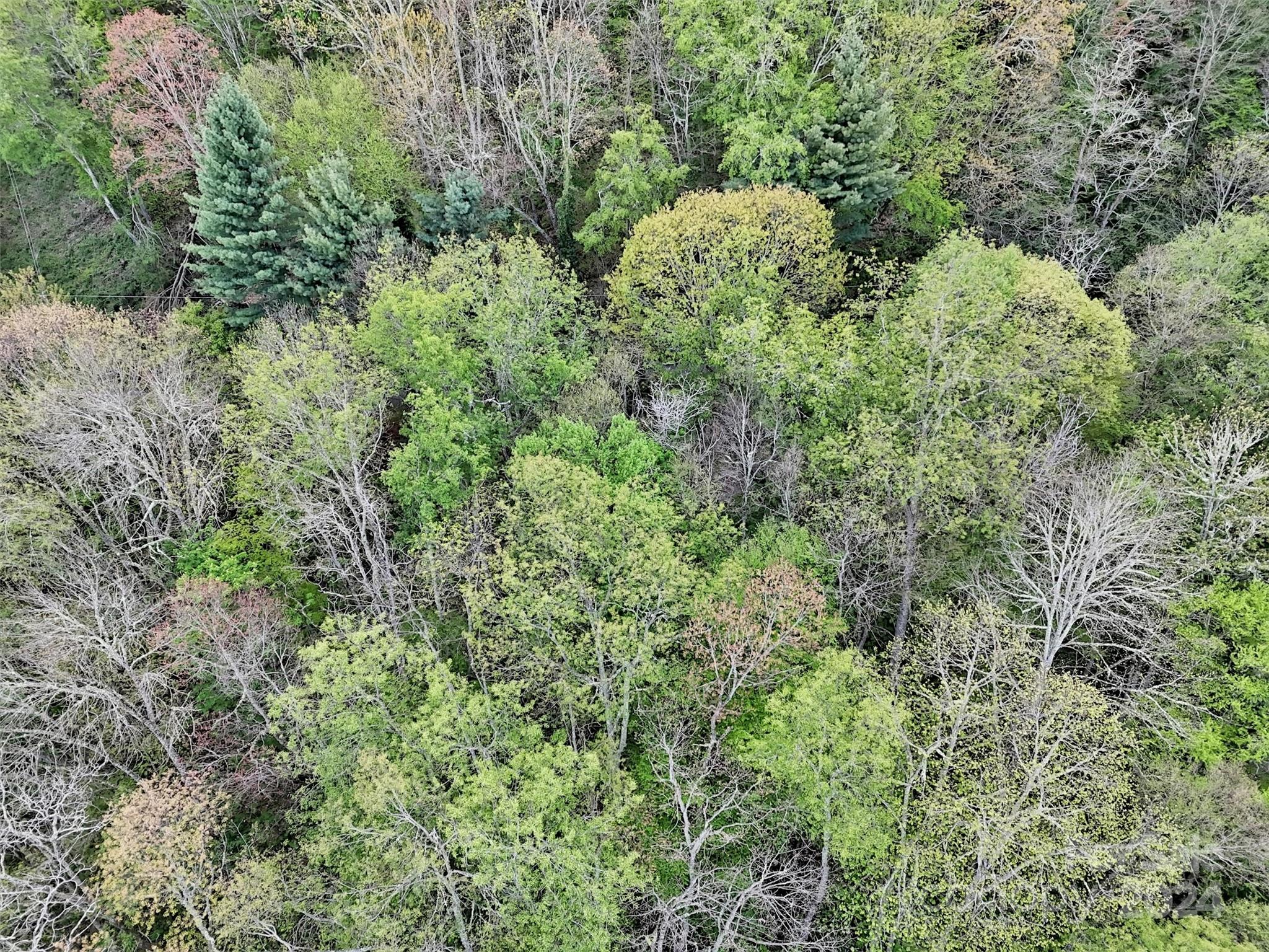 Lot 18 Quail Ridge Drive Property Photo 22