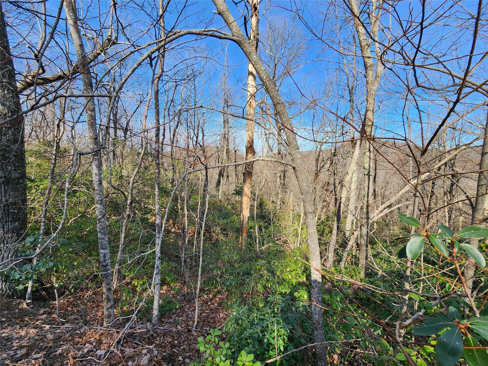 Lot 22 Sunset Ridge Drive 22 Property Photo 3